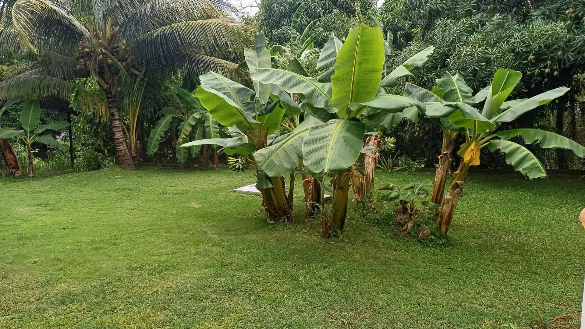 Maison Charmante A Baie-Mahault Avec Jardin Cloture 0*,  Guadeloupe