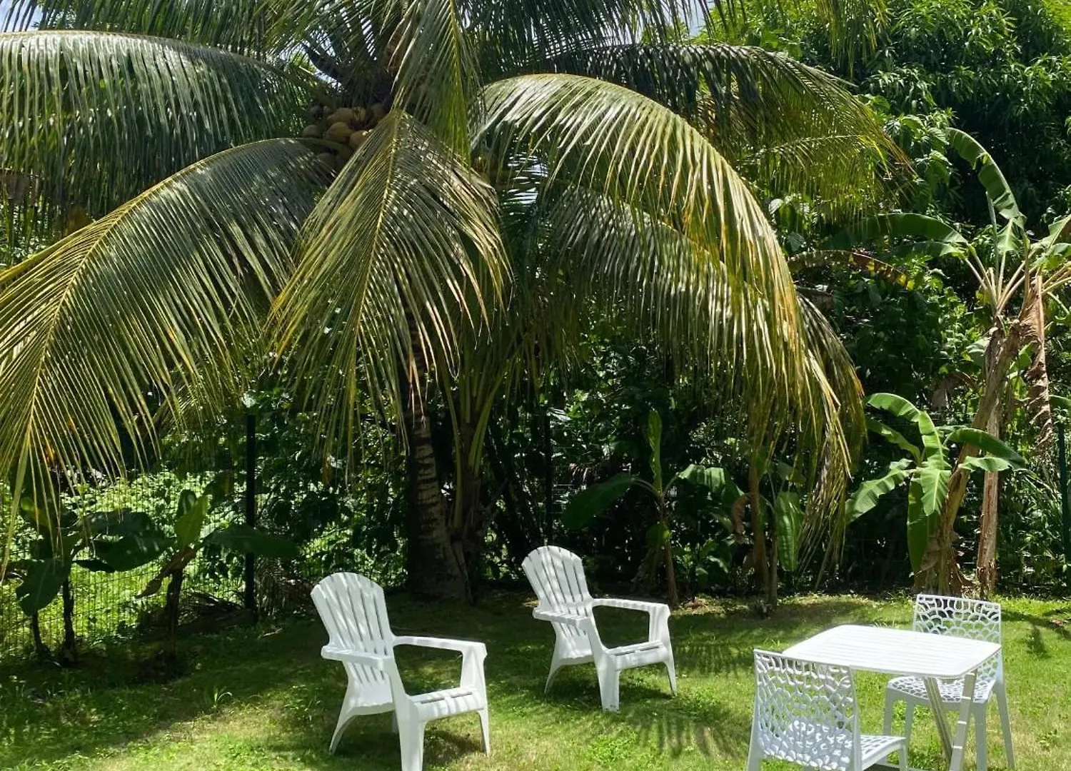 Maison Charmante A Baie-Mahault Avec Jardin Cloture