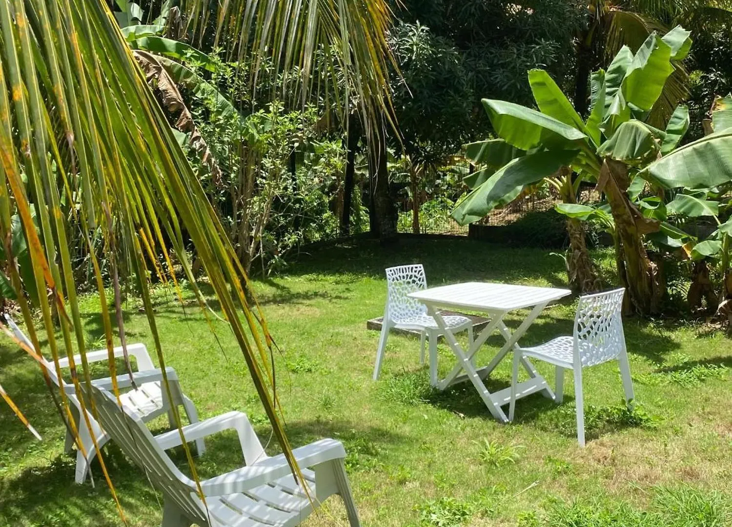 Maison Charmante A Baie-Mahault Avec Jardin Cloture 別荘